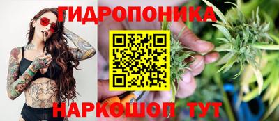 сатива Комсомольск-на-Амуре