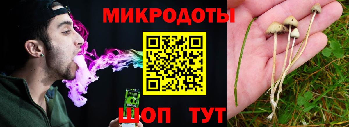 Псилоцибиновые грибы Psilocybine cubensis  Вход с VPN  Корсаков 